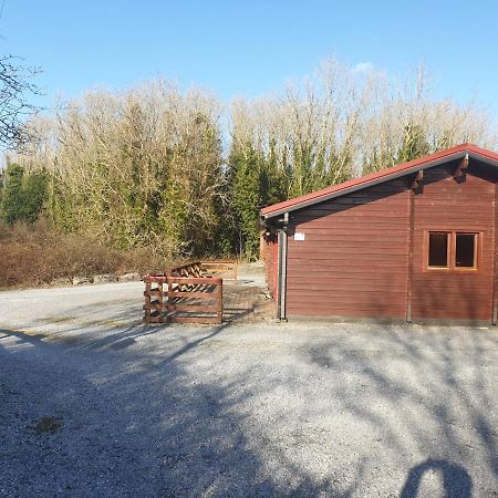Red Squirrel Lodge Galway Dış mekan fotoğraf